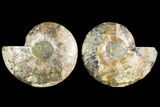 Agatized Ammonite Fossil - Crystal Filled Chambers #145222-1